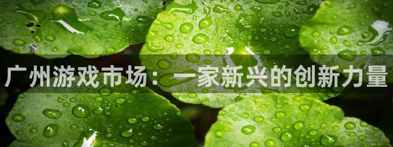 杏耀官网客服电话是多少：广州游戏市场：一家新兴的创新力量