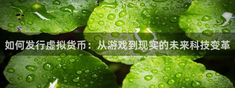 杏耀娱乐测速官网：如何发行虚拟货币：从游戏到现实的未来科技变革