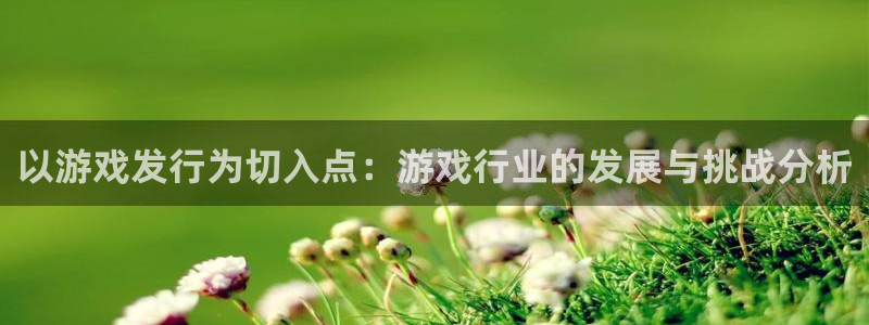 广州杏耀运动服：以游戏发行为切入点：游戏行业的发展与挑战分析
