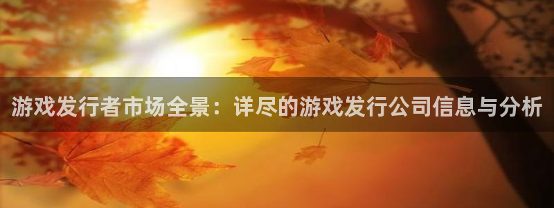 杏耀官网注册地址查询官网：游戏发行者市场全景：详尽的游戏发行公司信息与分析