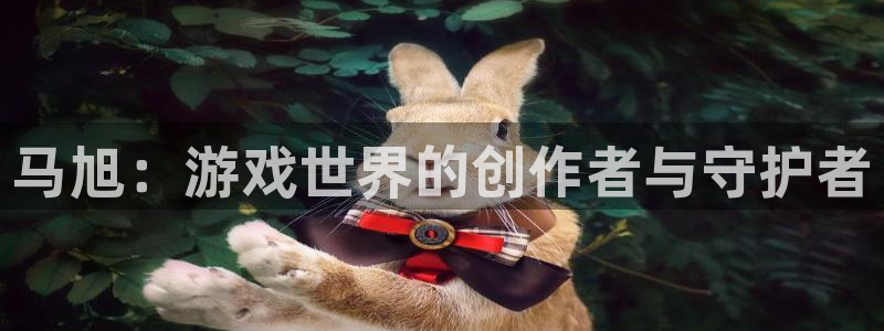 杏耀官网注册方法视频下载：马旭：游戏世界的创作者与守护者
