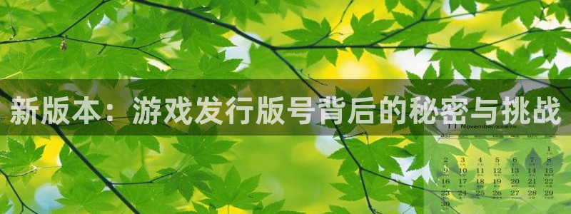 陕西杏耀子文化公司有什么游戏：新版本：游戏发行版号背后的秘密与挑战