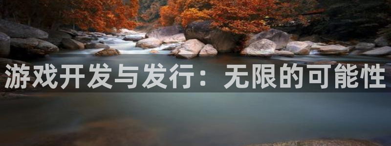 杏耀服装分店有几家：游戏开发与发行：无限的可能性