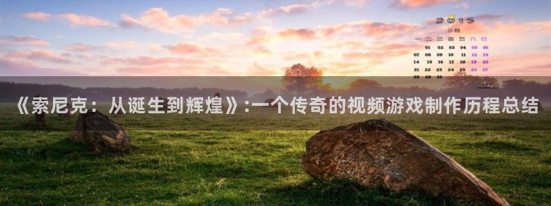 杏耀户外：《索尼克：从诞生到辉煌》:一个传奇的视频游戏制作历程总结
