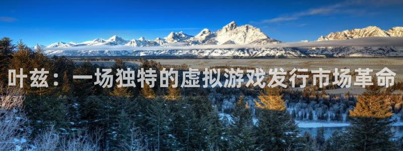 杏耀官网登录注册：叶兹：一场独特的虚拟游戏发行市场革命