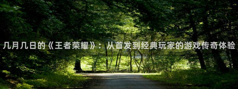 杏耀集团董事长刘一辰简历
