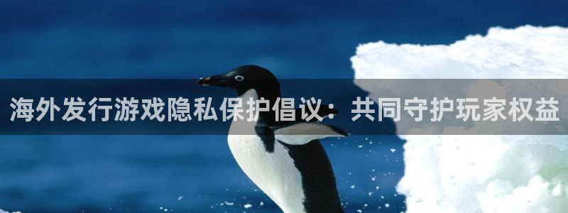 杏耀有什么寓意：海外发行游戏隐私保护倡议：共同守护玩家权益