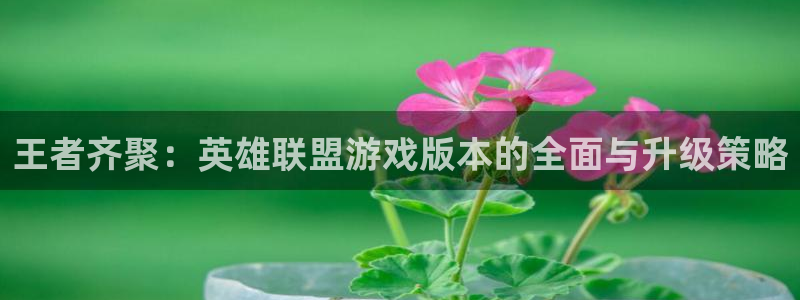 杏耀官网解绑银行卡怎么解绑：王者齐聚：英雄联盟游戏版本的全面与升级策略