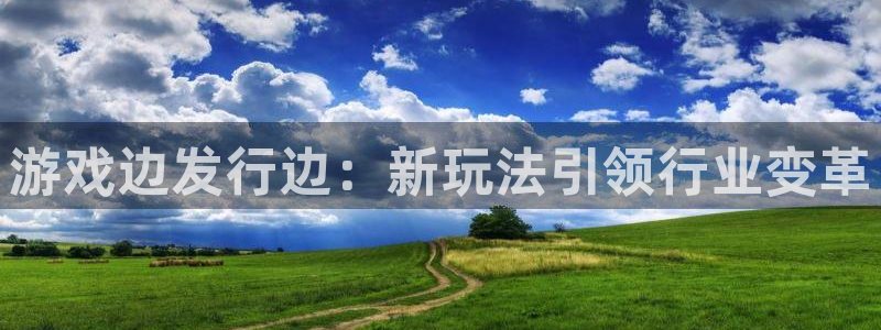 四川杏耀科技有限公司：游戏边发行边：新玩法引领行业变革