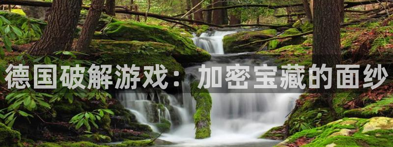 杏耀子寓意：德国破解游戏：加密宝藏的面纱