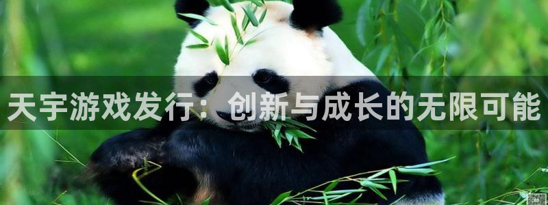 杏耀logo：天宇游戏发行：创新与成长的无限可能