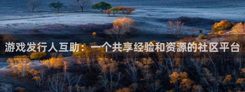 杏耀服装：游戏发行人互助：一个共享经验和资源的社区平台