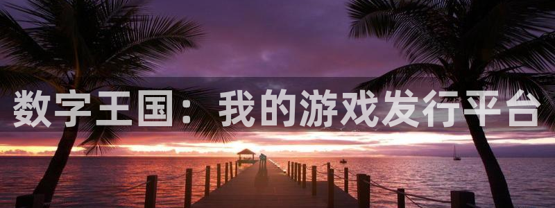 杏耀集团品牌策划机构：数字王国：我的游戏发行平台