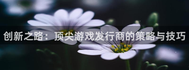 杏耀集团：创新之路：顶尖游戏发行商的策略与技巧