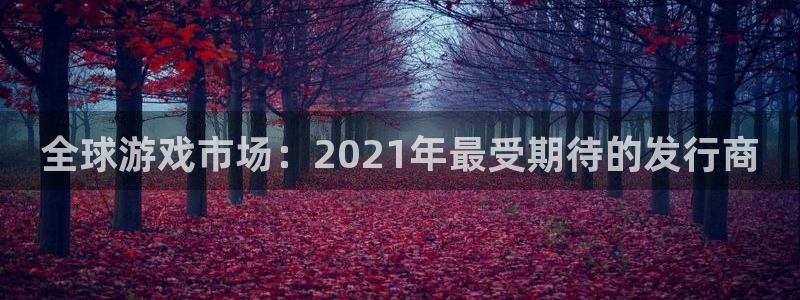 南京杏耀子电子商务有限公司：全球游戏市场：2021年最受期待的发行商