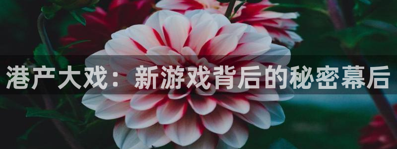 杏耀官网注册平台怎么注册：港产大戏：新游戏背后的秘密幕后