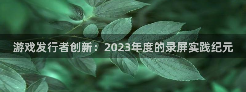 杏耀子小说：游戏发行者创新：2023年度的录屏实践纪元
