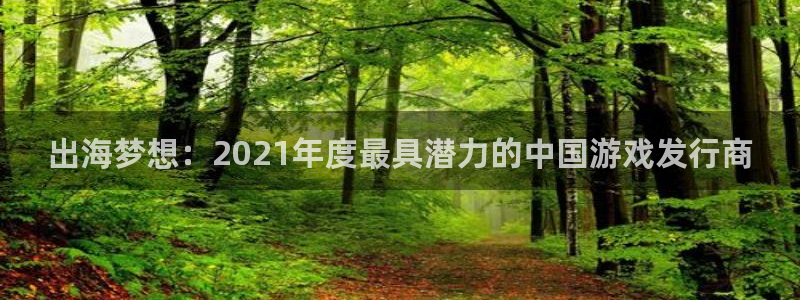 杏耀注册开户：出海梦想：2021年度最具潜力的中国游戏发行商
