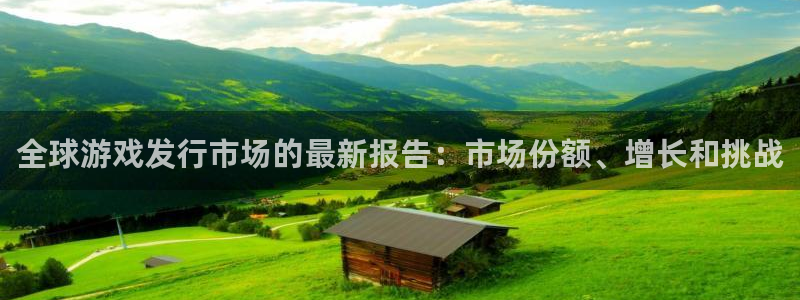 杏耀官网登录注册：全球游戏发行市场的最新报告：市场份额、增长和挑战
